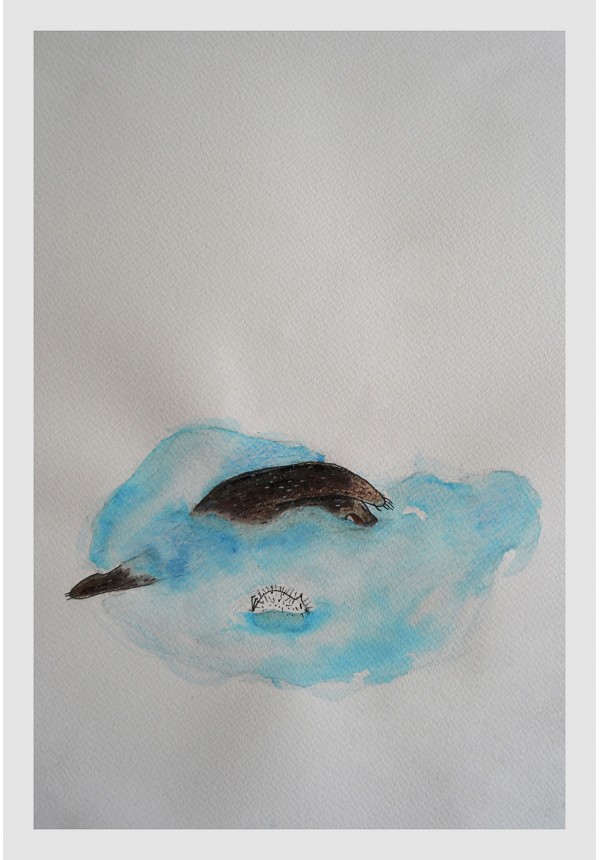 Cum să prinzi un nor...