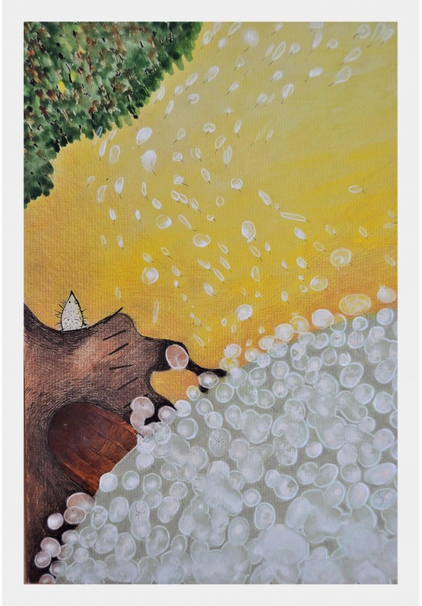 Cum să prinzi un nor...