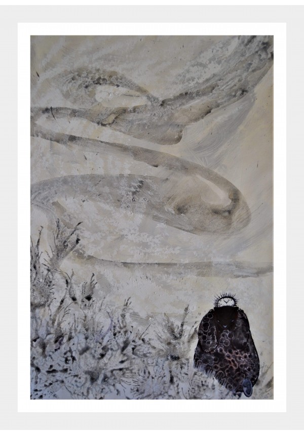 Cum să prinzi un nor...